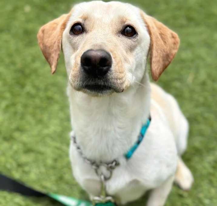 Photo of Bessie