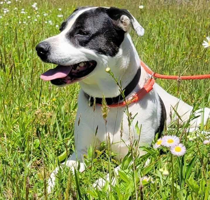 Photo of KATIE