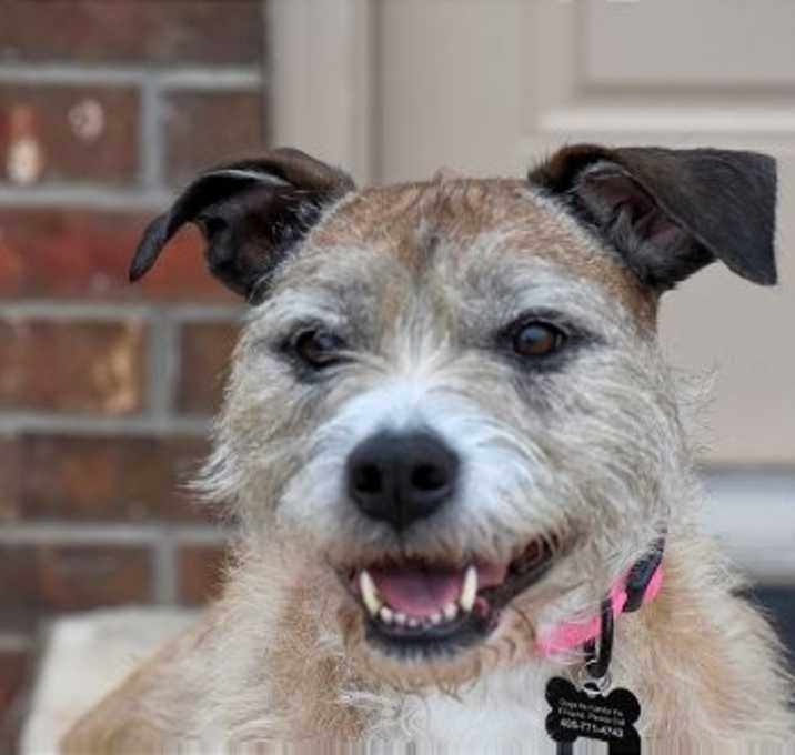Photo of Roxie