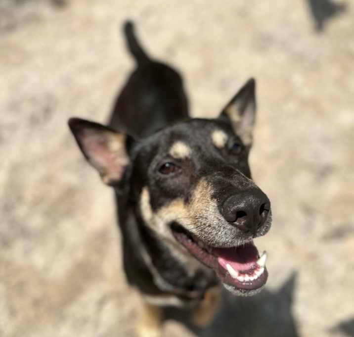 Photo of Ivan