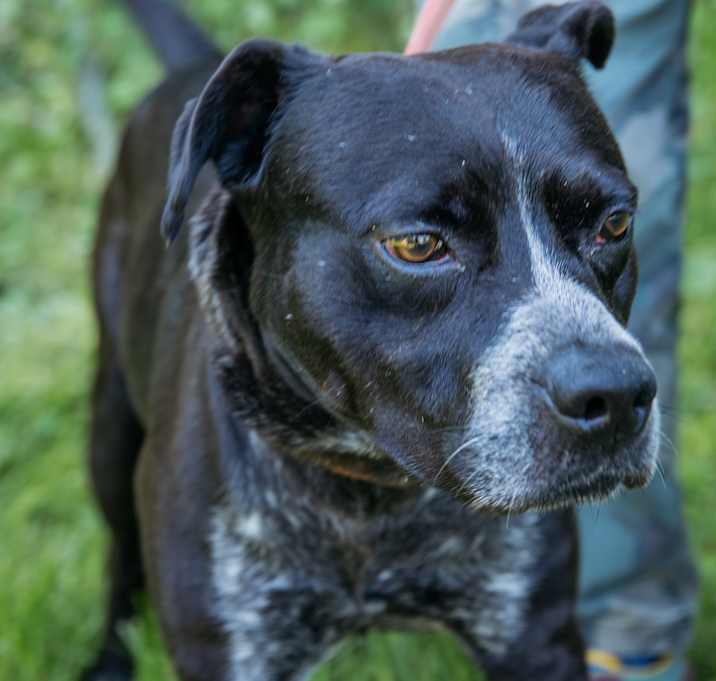 Photo of Bruce