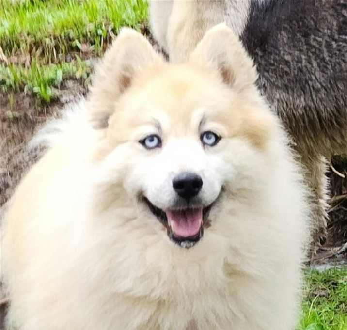 Photo of Bear Kendall
