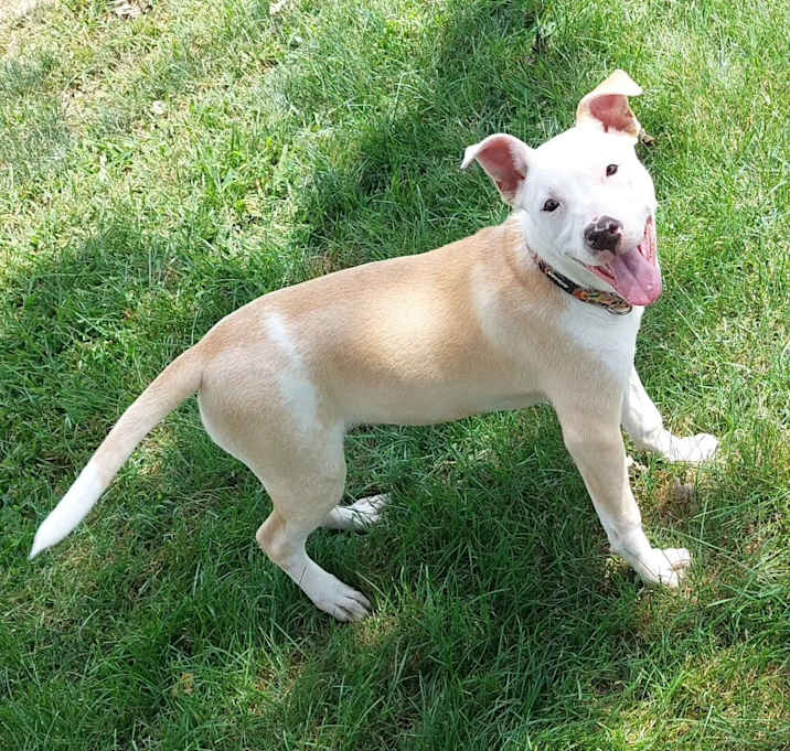 Photo of Rhea (Iowa)