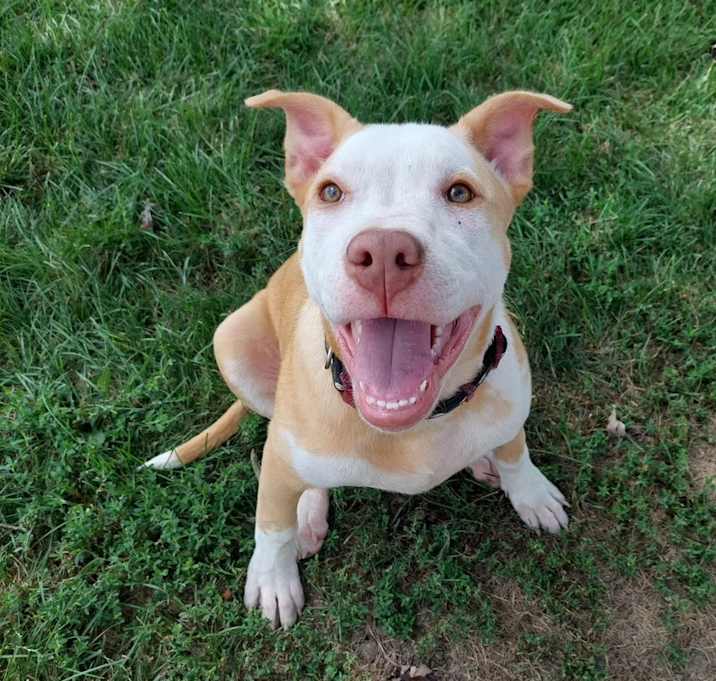 Photo of Calypso (Iowa)