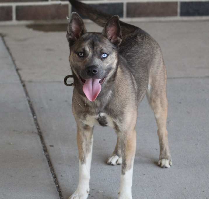 Photo of Mae