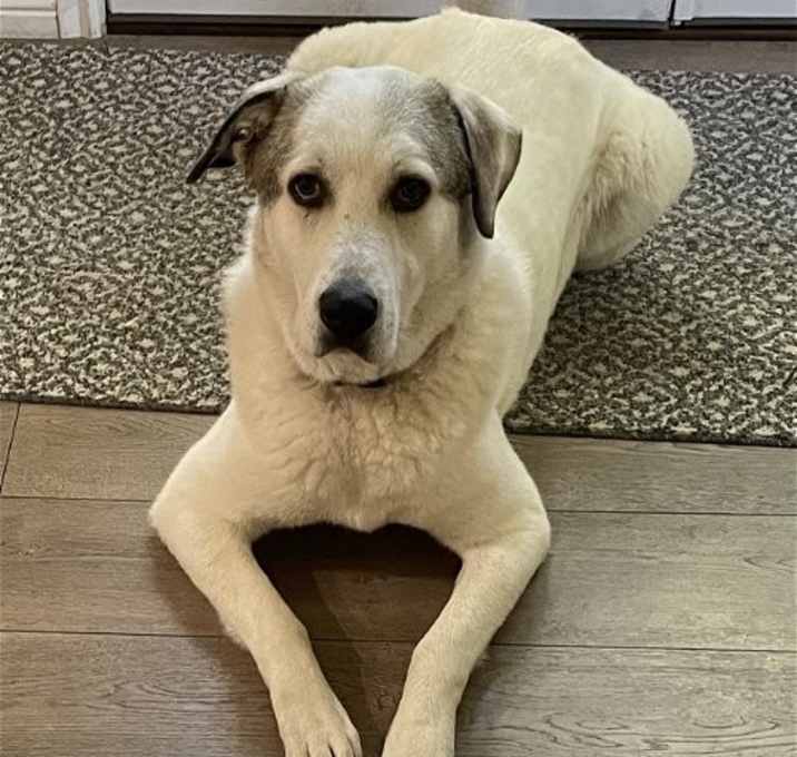 Photo of Aspen
