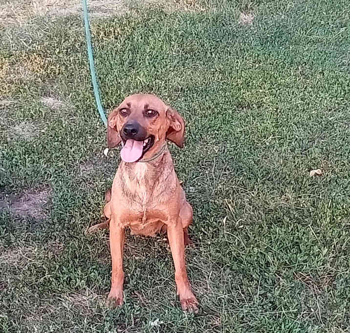 Photo of MARLA