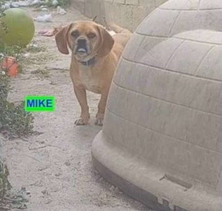 Photo of Mike