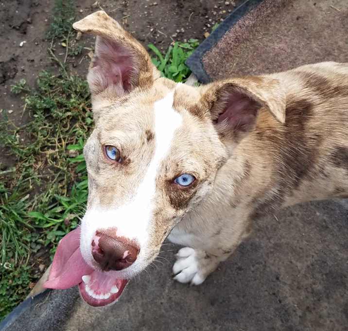 Photo of Jax