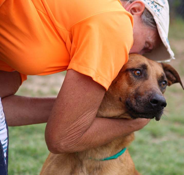 Photo of Scooby