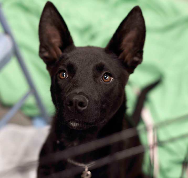 Photo of Briggs