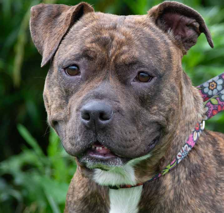 Photo of Roxy