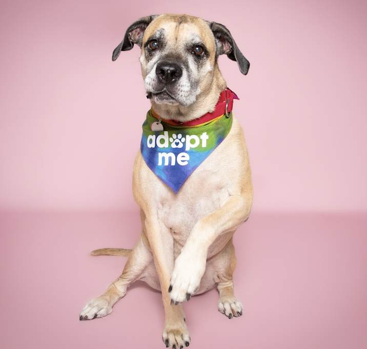 Photo of Penny