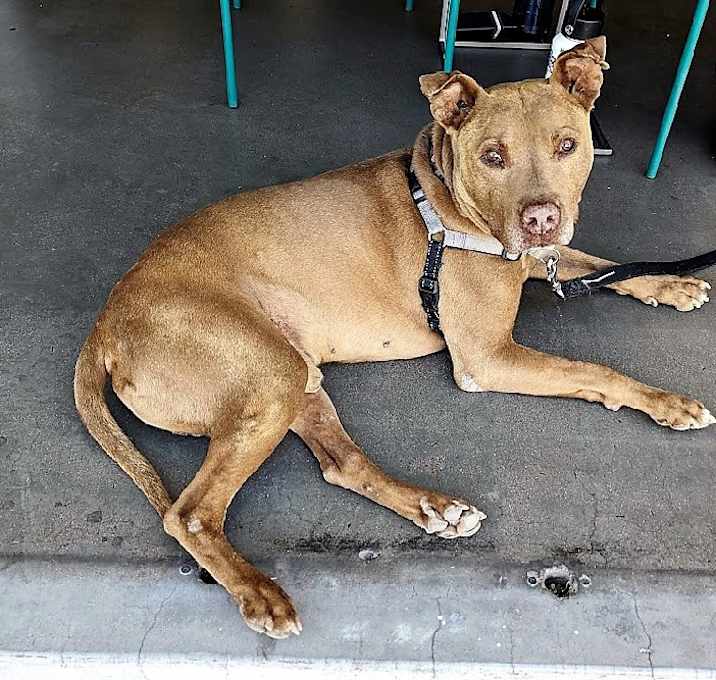 Photo of Raja