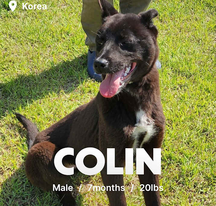 Photo of Colin