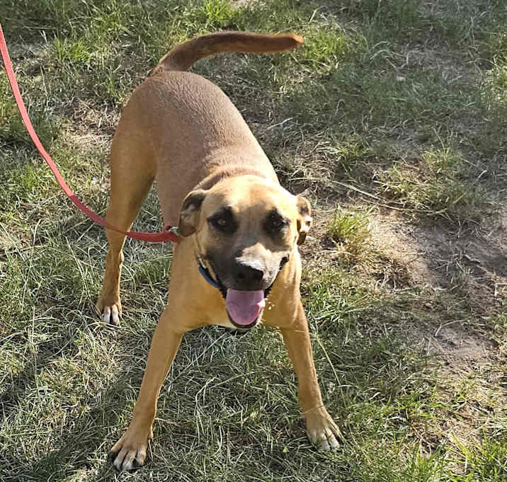 Photo of Chauncey
