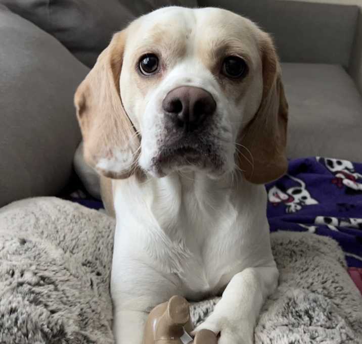 Photo of Copper