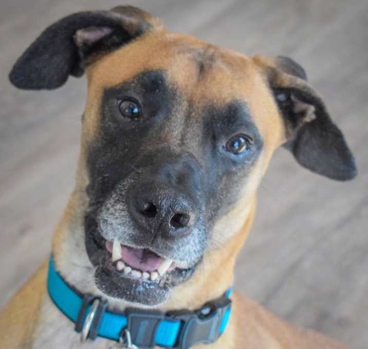 Photo of Ace