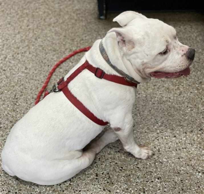 Photo of Gunther