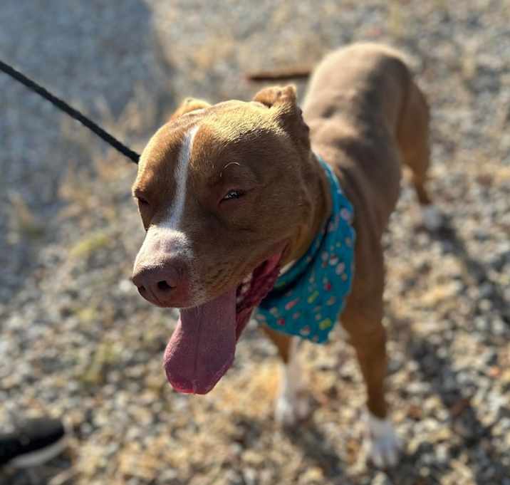 Photo of OTIS