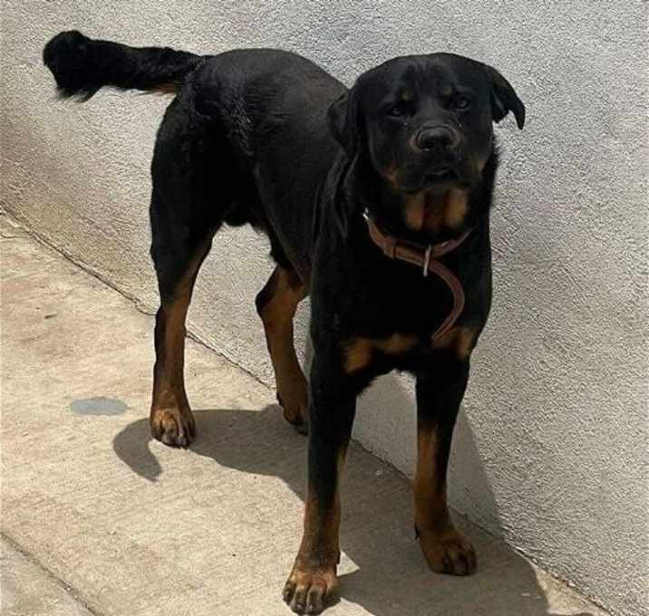 Photo of Zeus