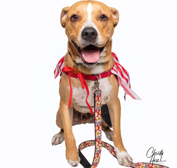 Photo of Kyson **Foster home**