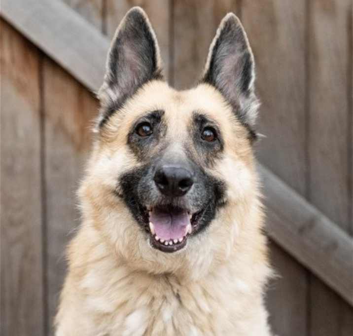 Photo of Ellen