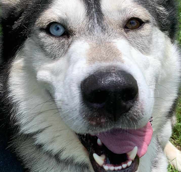 Photo of Brady