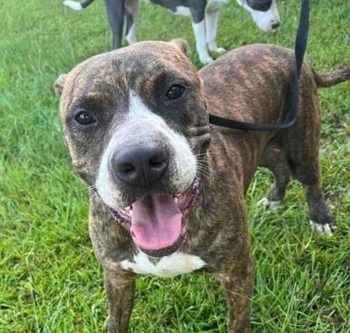 Photo of Zeke