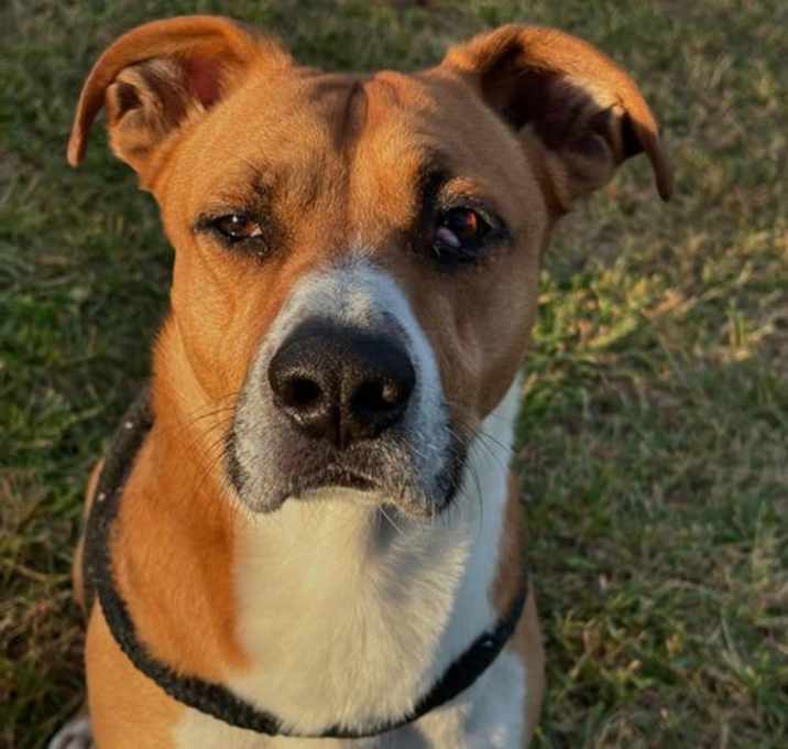 Photo of Butchey