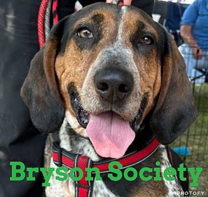 Photo of Bryson Society