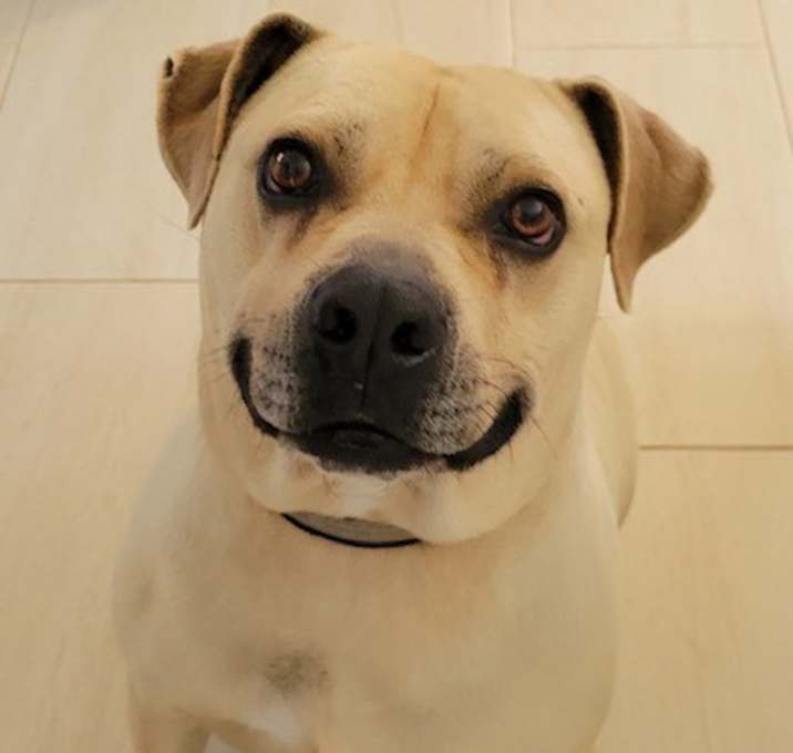 Photo of BUBBA