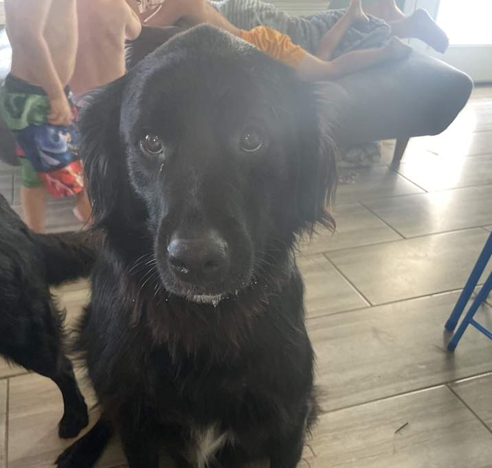 Photo of Sammy