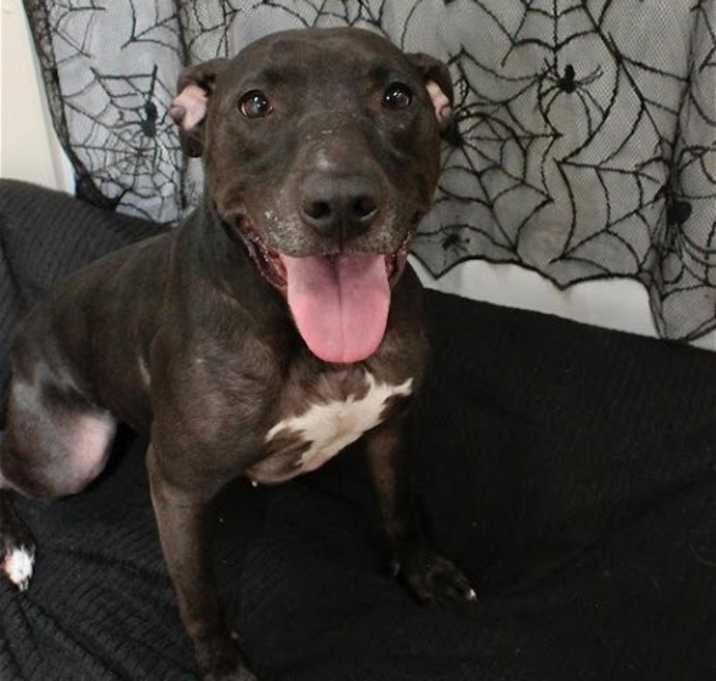 Photo of Alma (Sponsored fee)