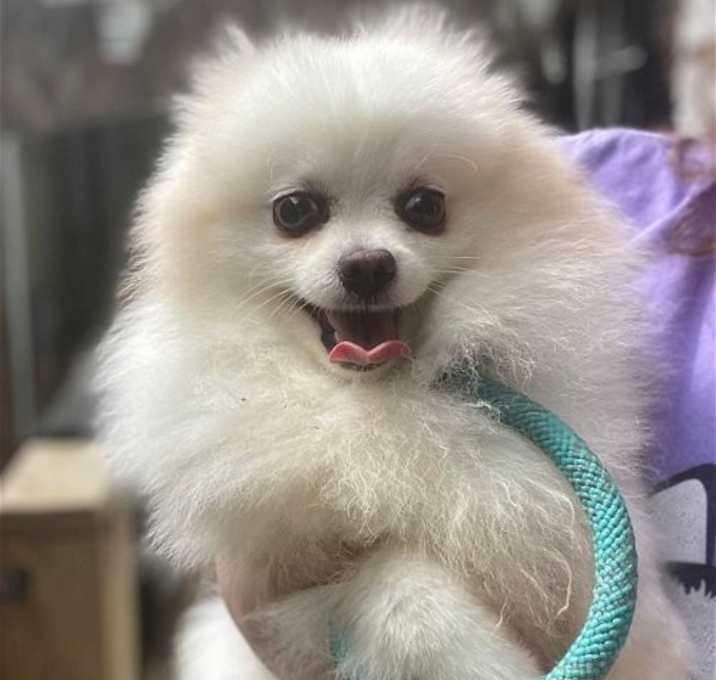 Photo of Archie