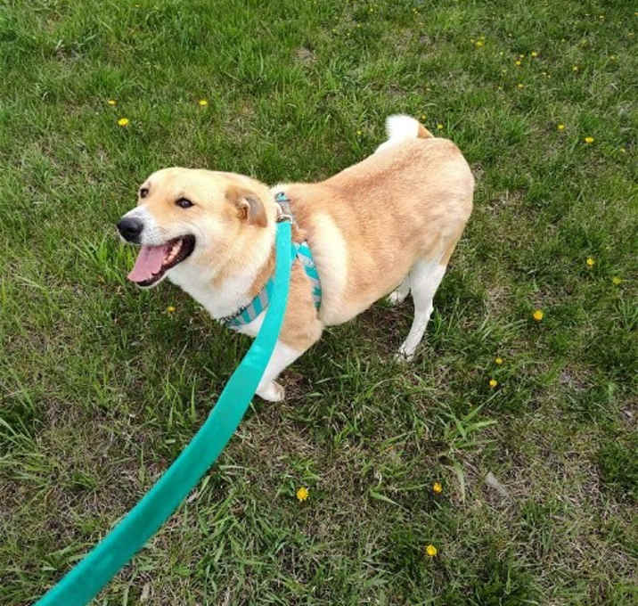 Photo of Peaches