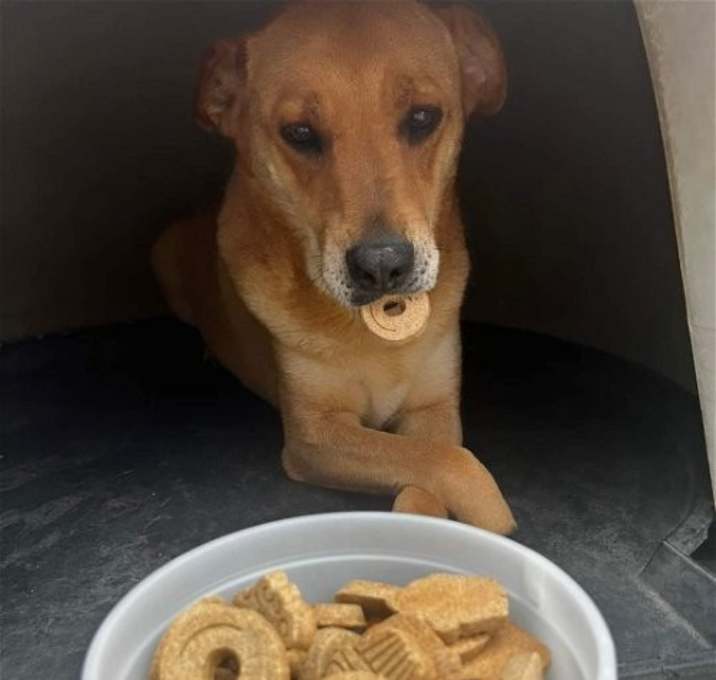 Photo of Ritz