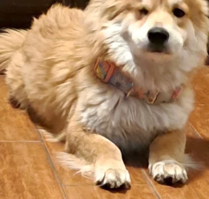 Photo of Chi-ichi