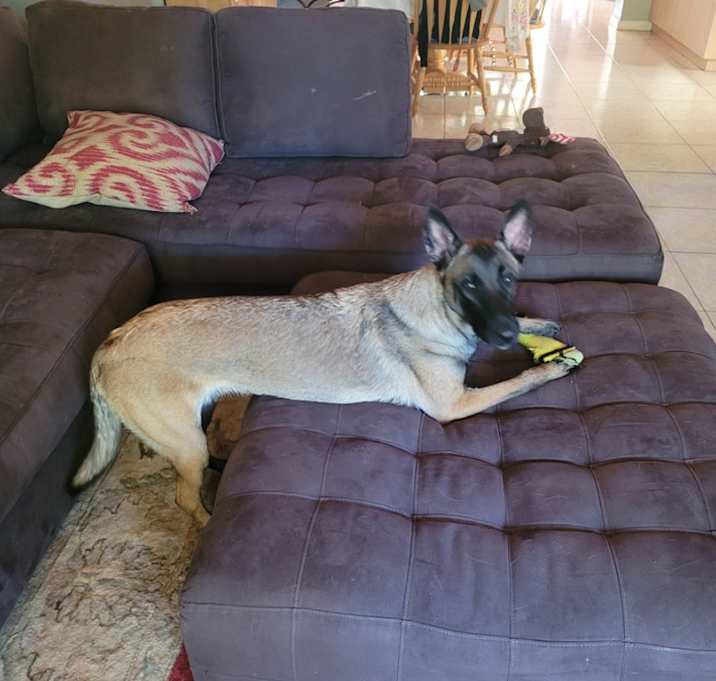 Photo of Myra - Located in Florida