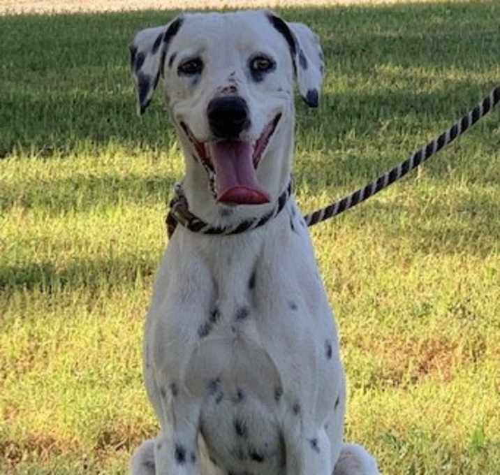 Photo of Remi