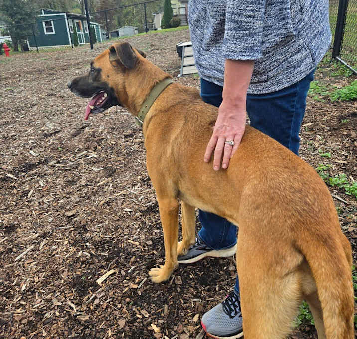 Photo of Bonnie (Courtesy Post)