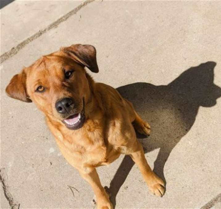 Photo of Athena