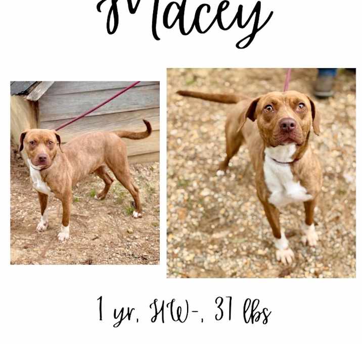 Photo of Macey
