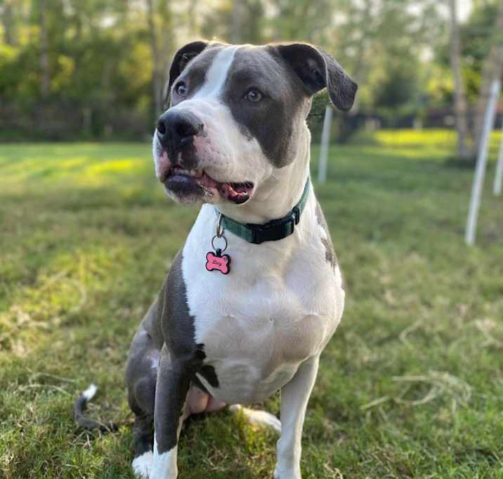 Photo of Lucy