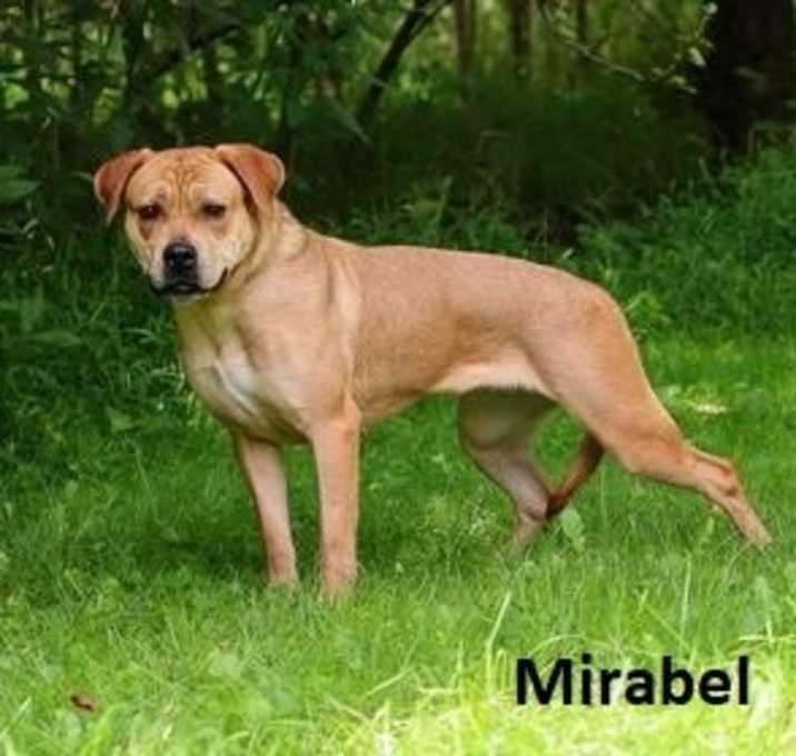 Photo of Mirabel