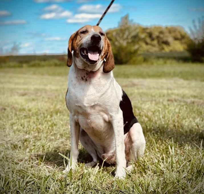Photo of Finnick