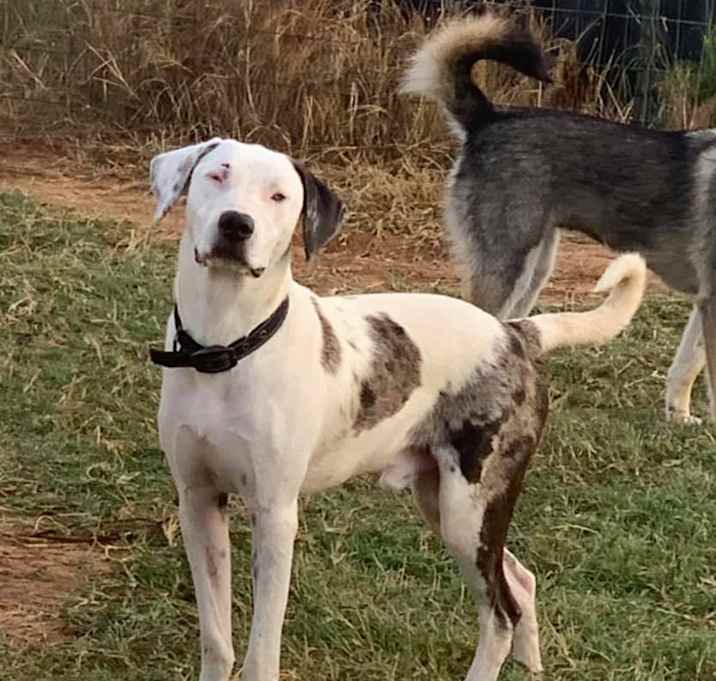 Photo of Motley