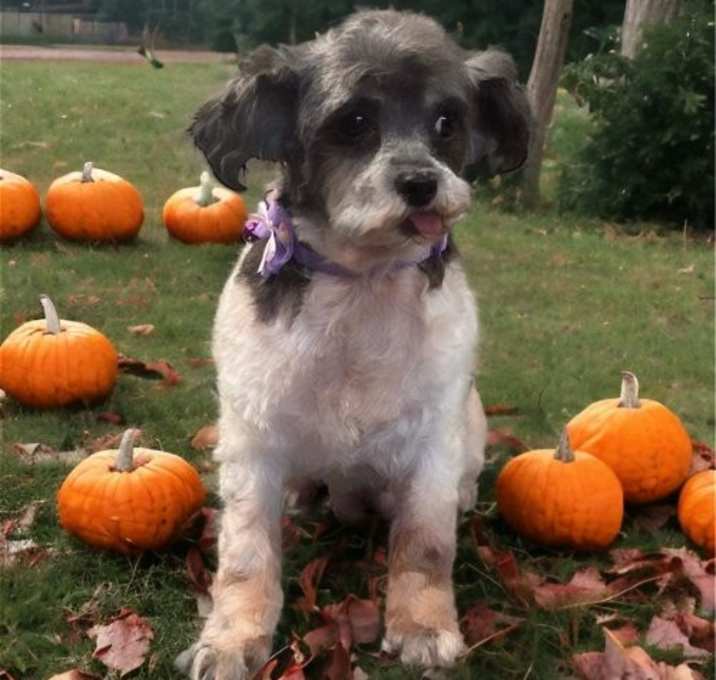 Photo of Lillian