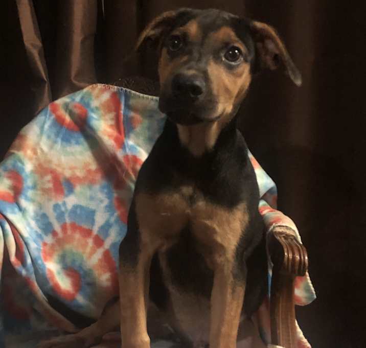 Photo of Kevin