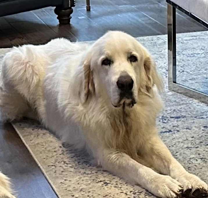 Photo of Yeti